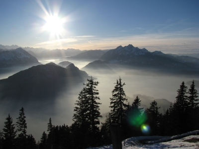transmetra leitbild